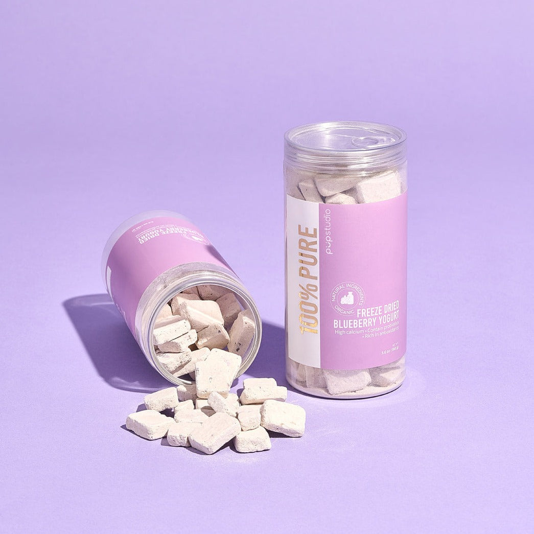 Freeze Dried Blueberry Yogurt
