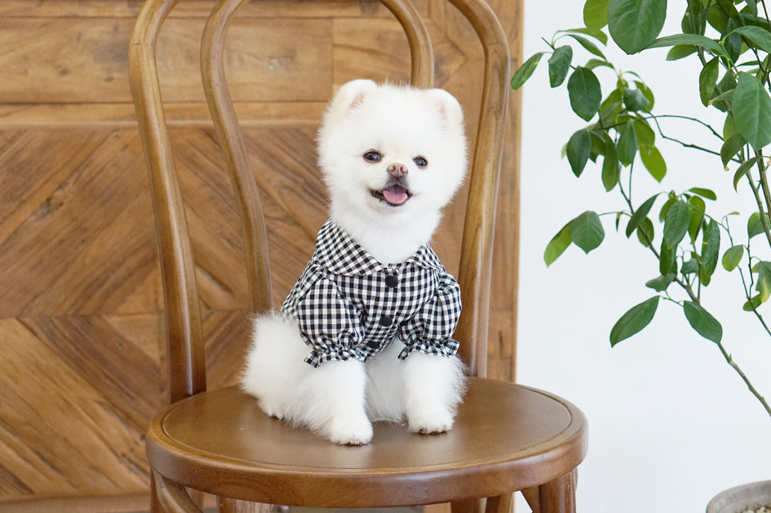 Black Checked Blouse
