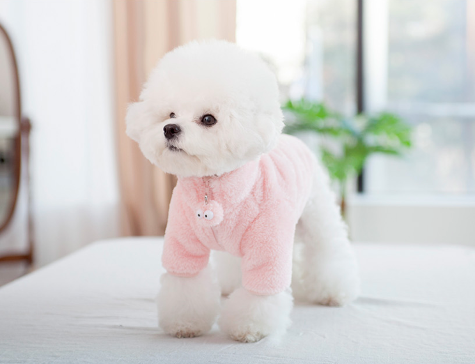 Fleece Jacket