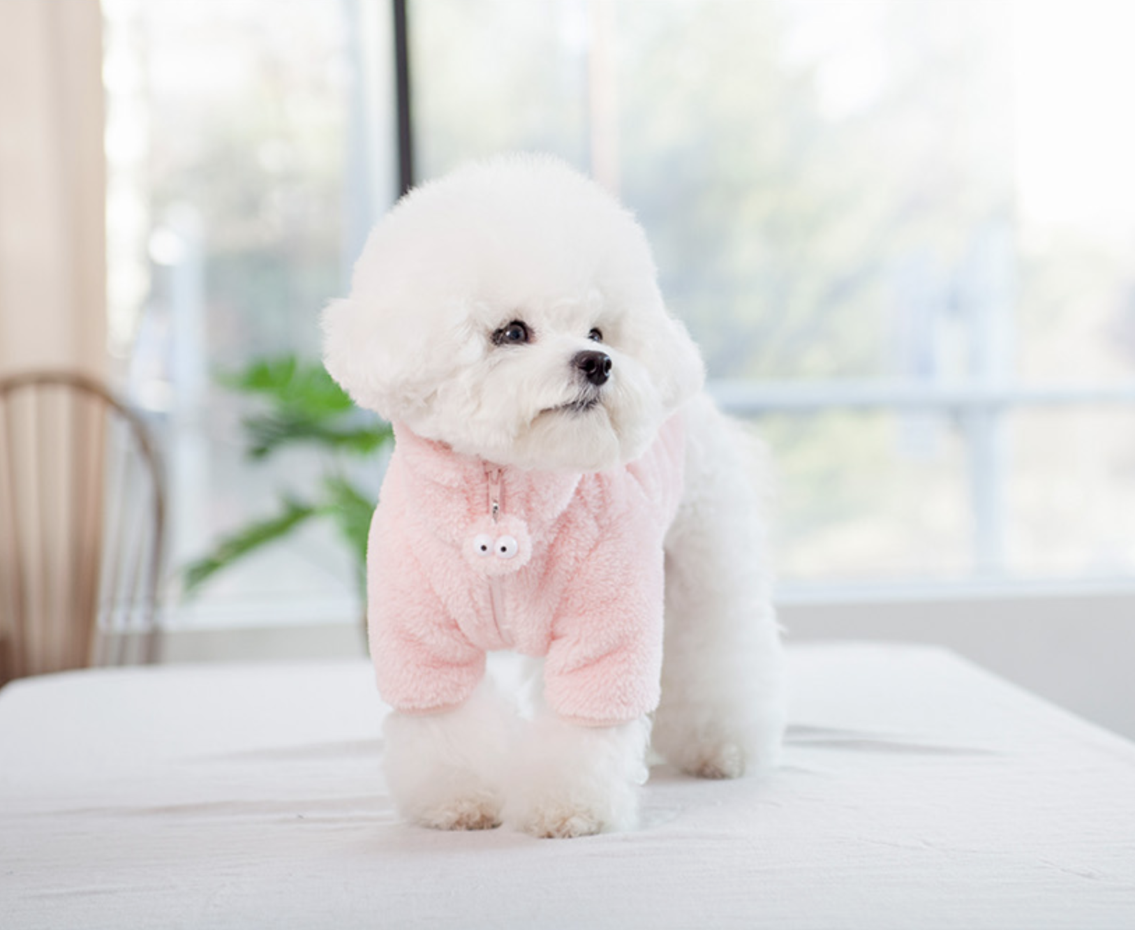 Fleece Jacket