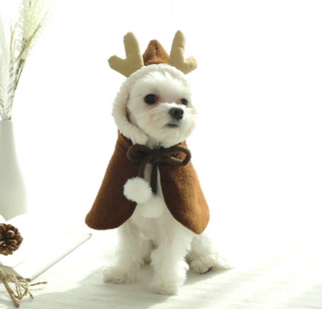 Rudolf Cape