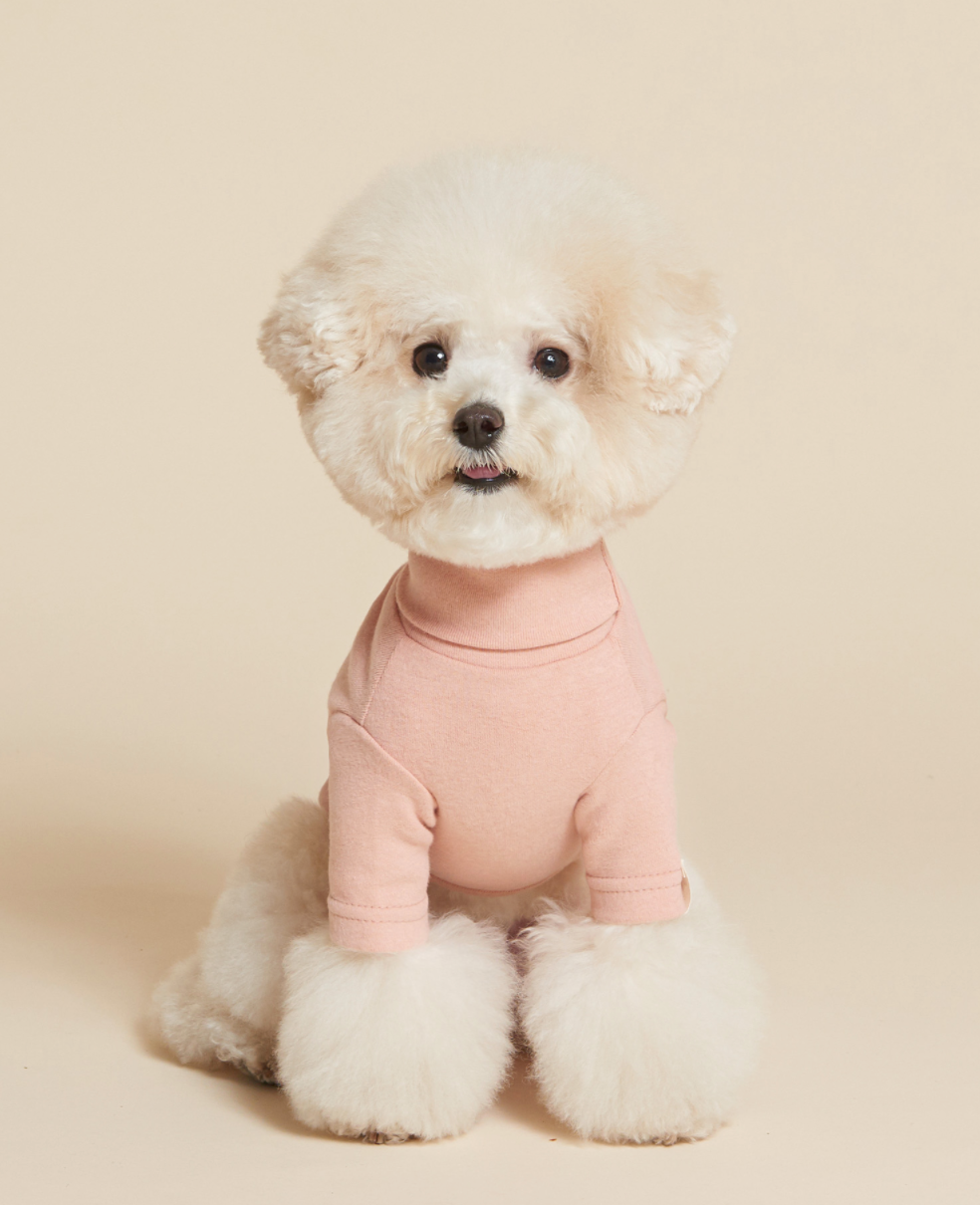 C.Turtleneck