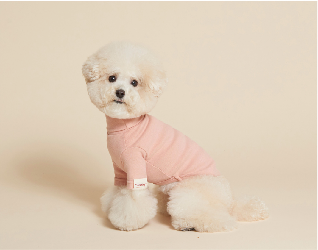 C.Turtleneck