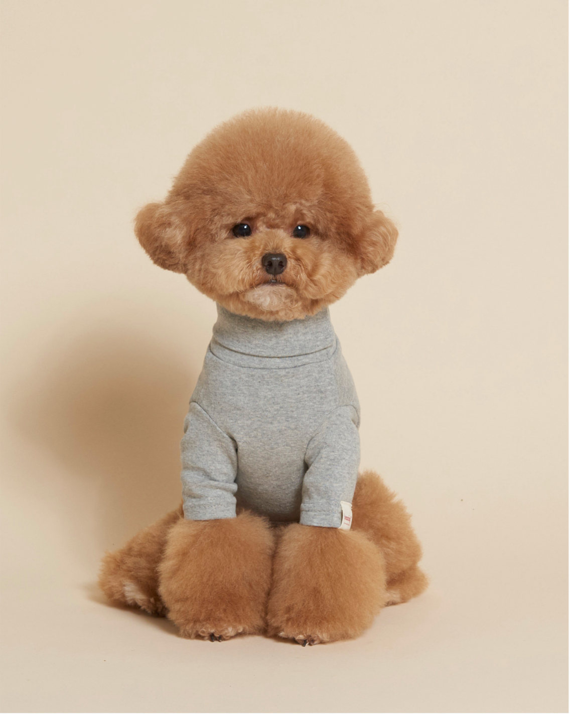 C.Turtleneck