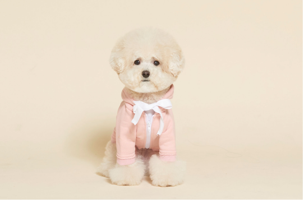 Ribbon Zip Up Hoodie