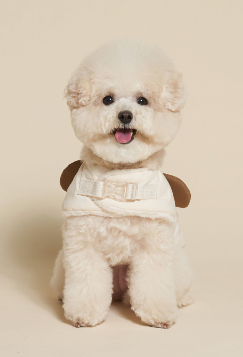 Teddy bear puffer jacket