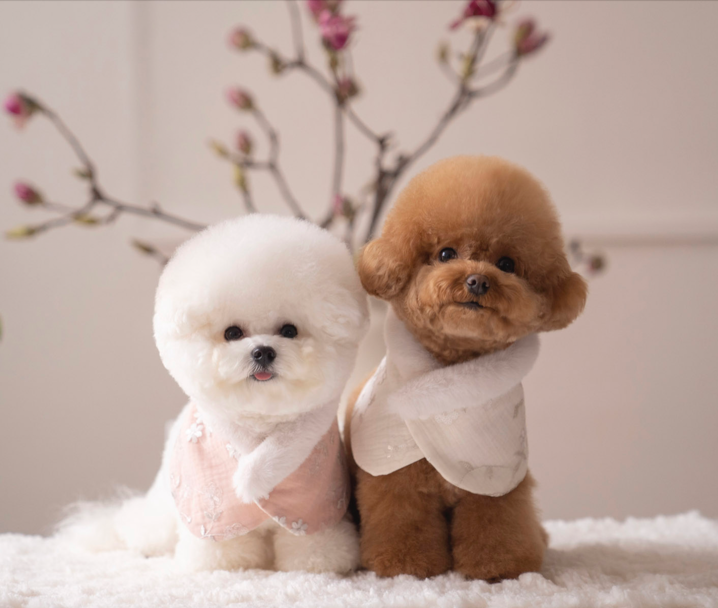 Flower fur cape