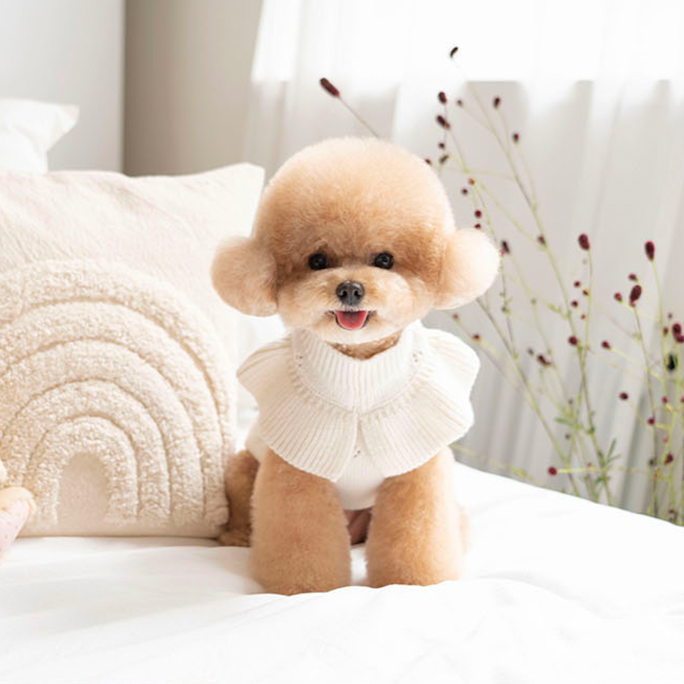 Frill Knit(Ivory)