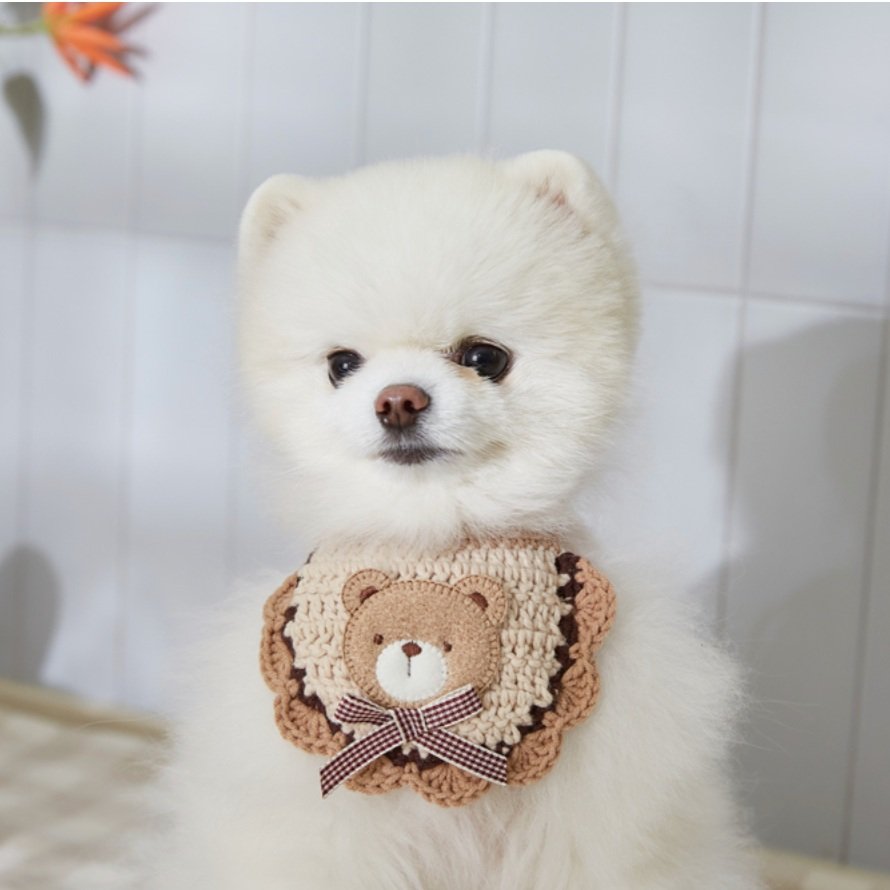 Bear Scarf