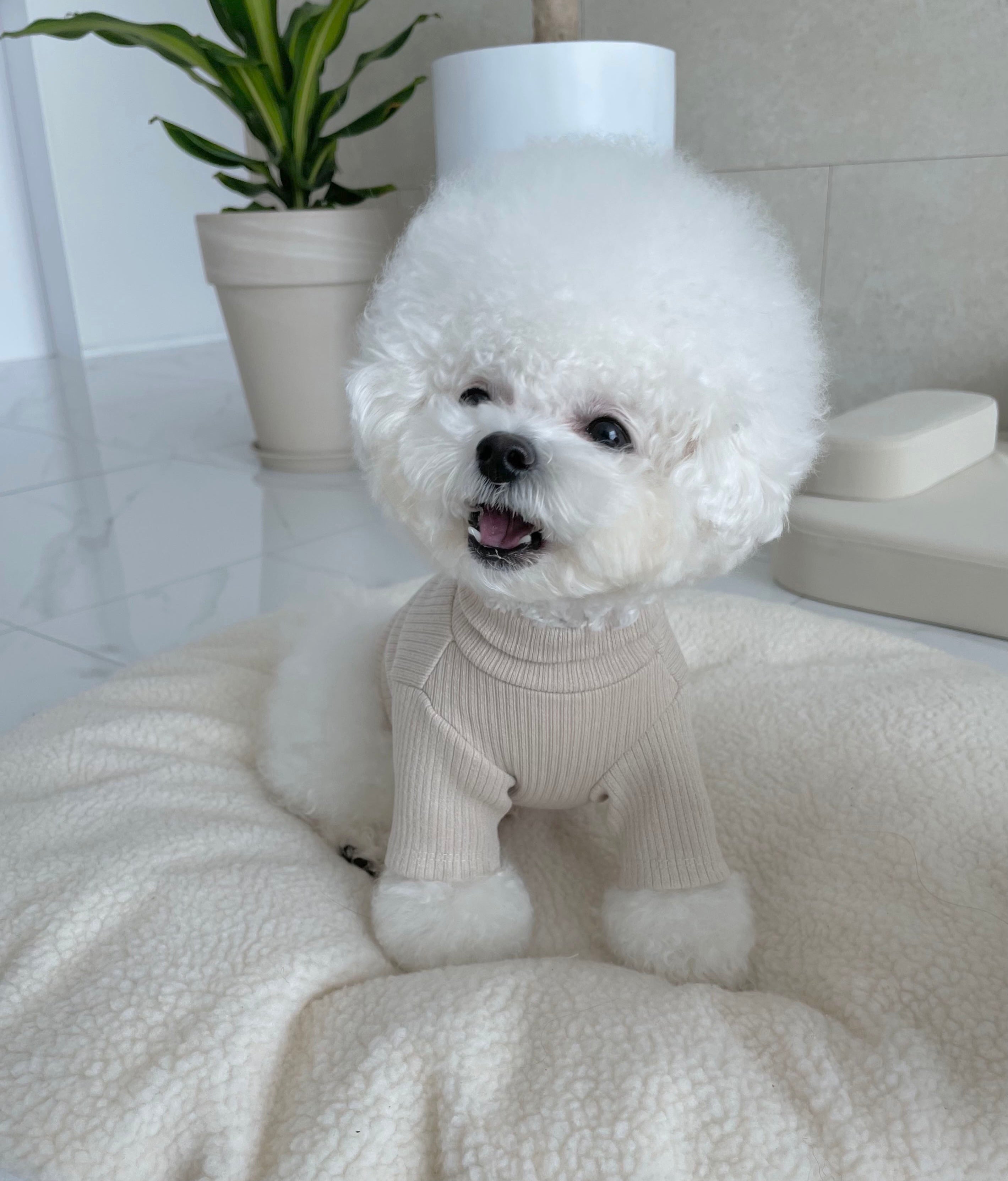 Knit Turtleneck