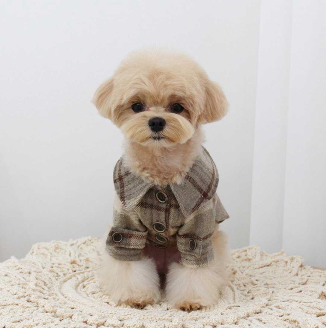 Khaki Checkered Coat