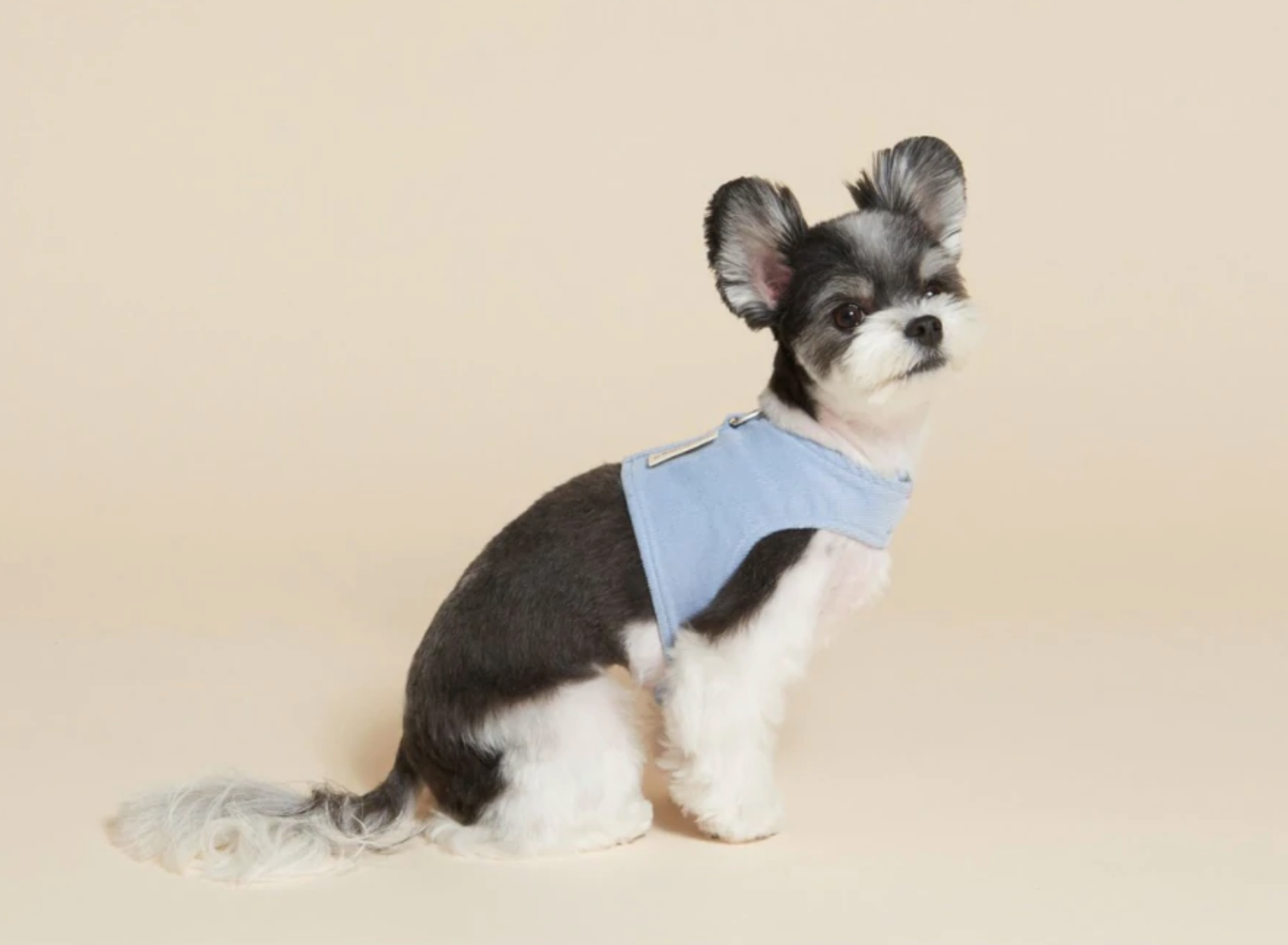 Corduroy Harness