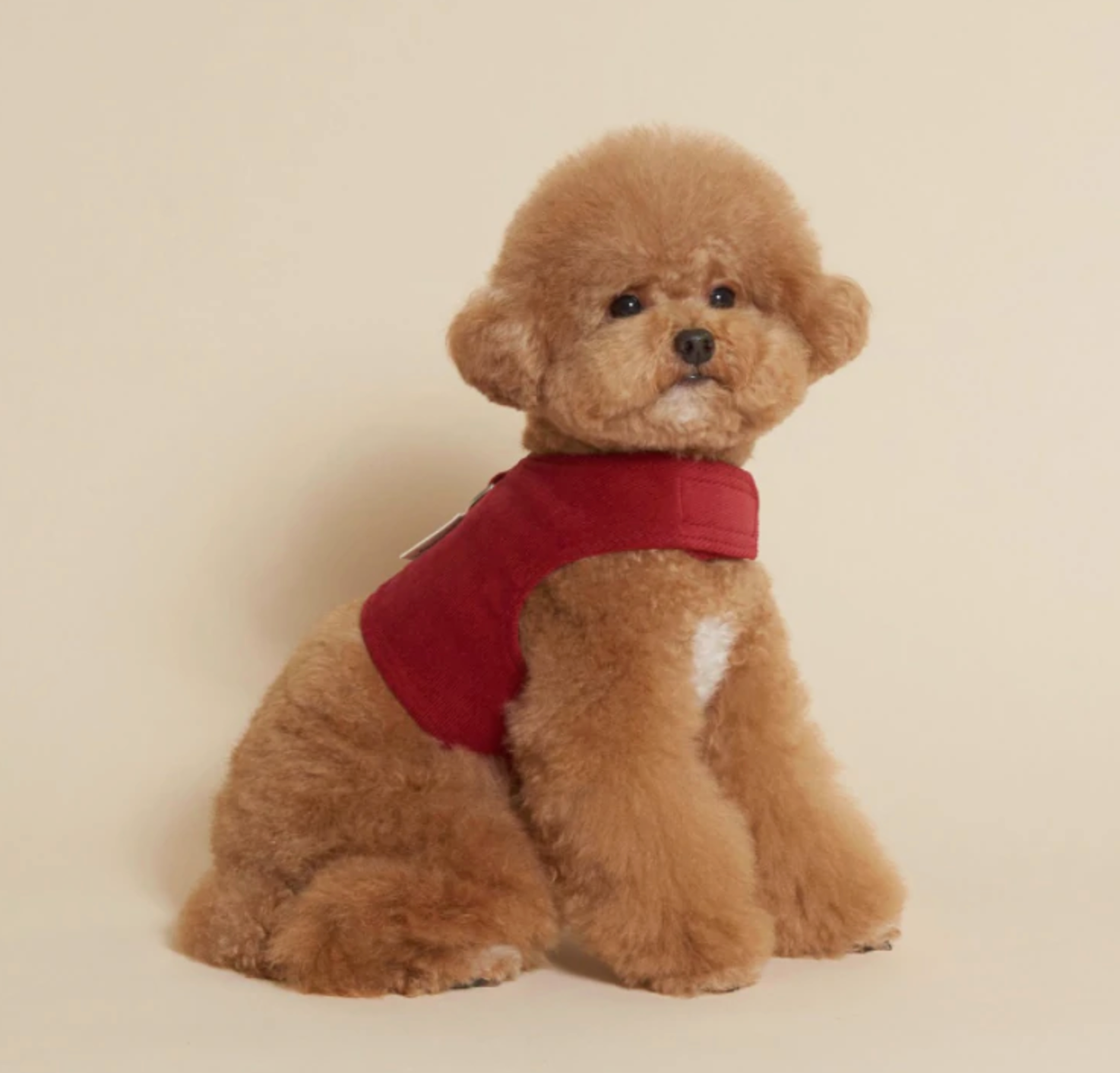 Corduroy Harness