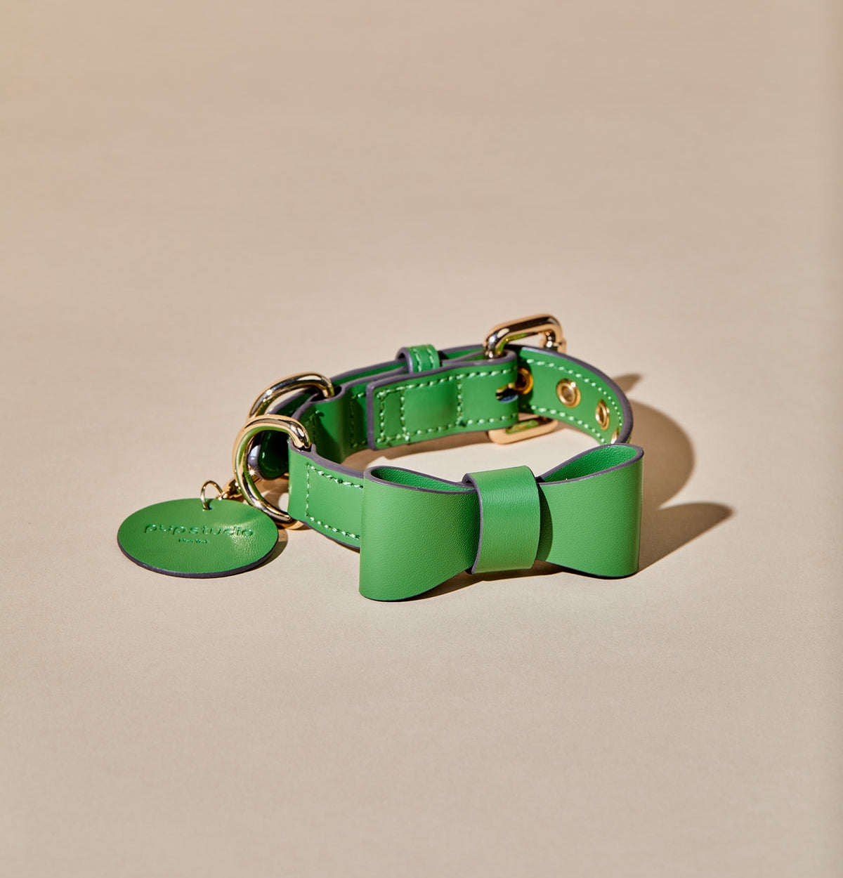 Ribbon Collar w Leash & Waste Bag