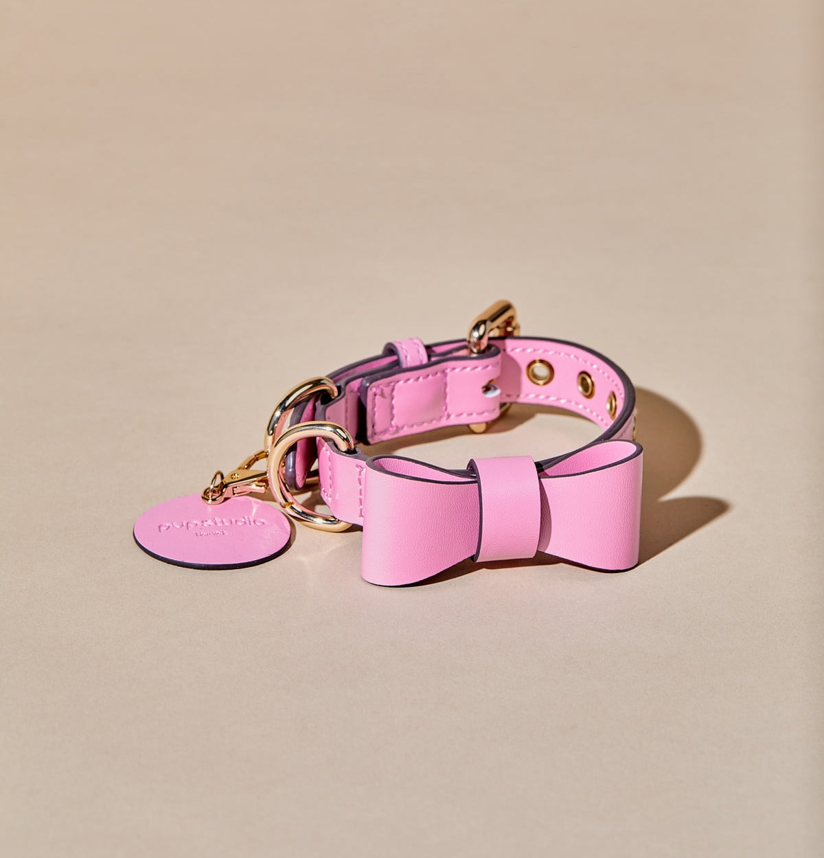 Ribbon Collar w Leash & Waste Bag