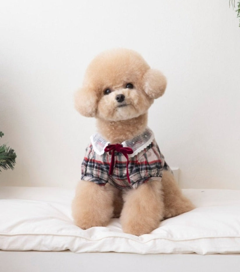 Plaid lace top (Beige)