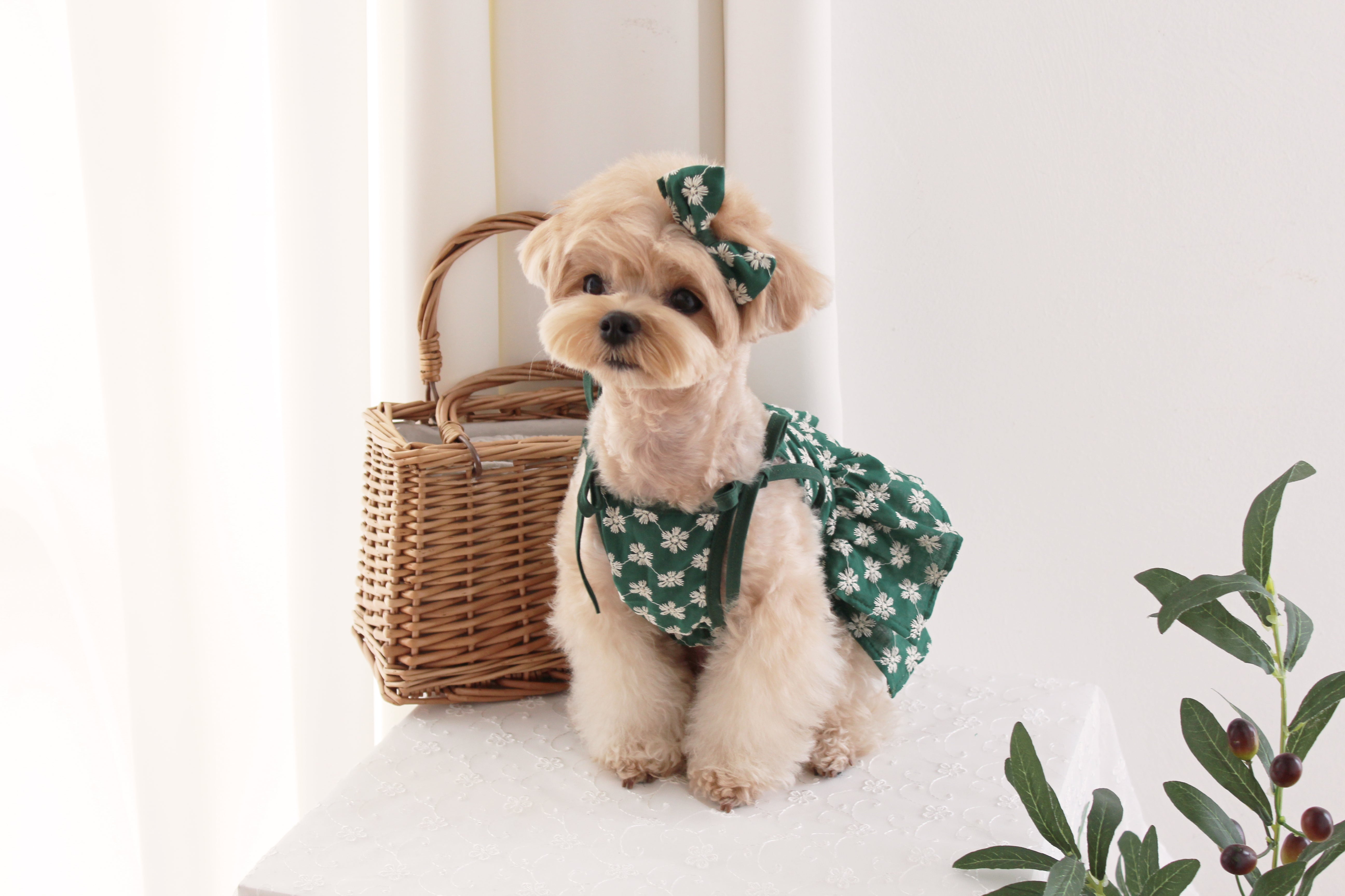 Aloha Dress(Green)