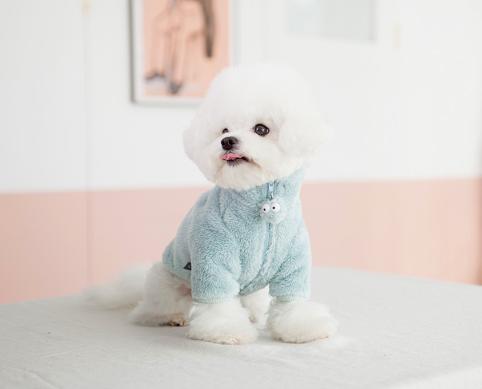 Fleece Jacket