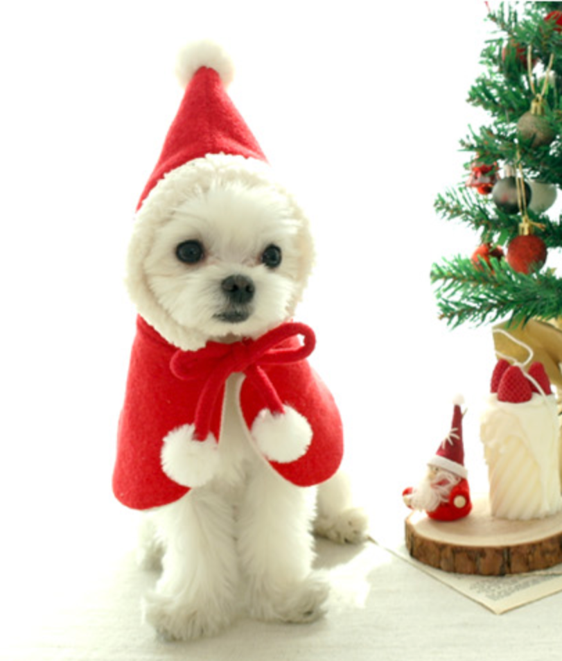 Santa Cape