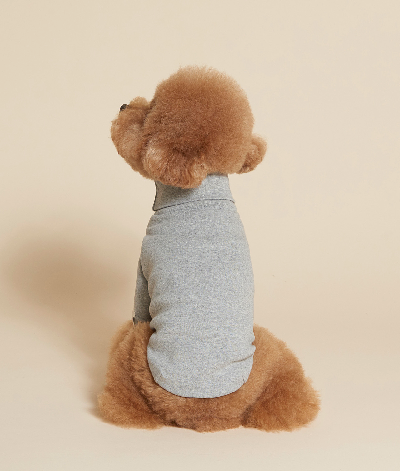 C.Turtleneck