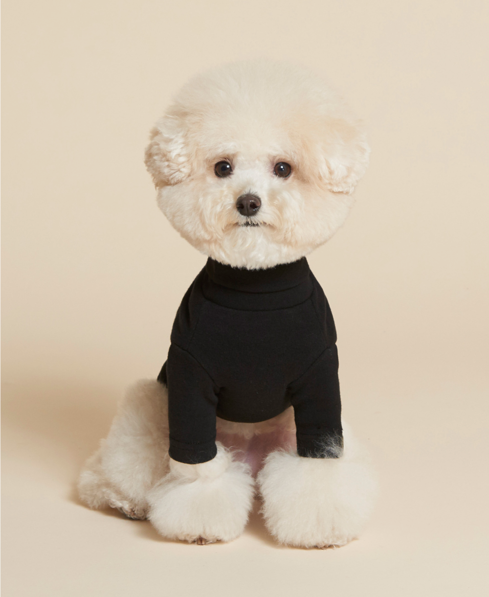 C.Turtleneck