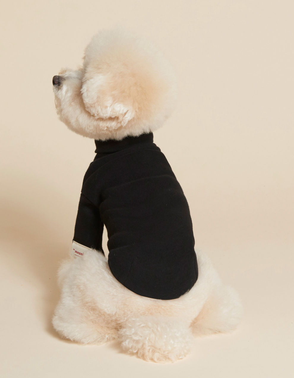 C.Turtleneck