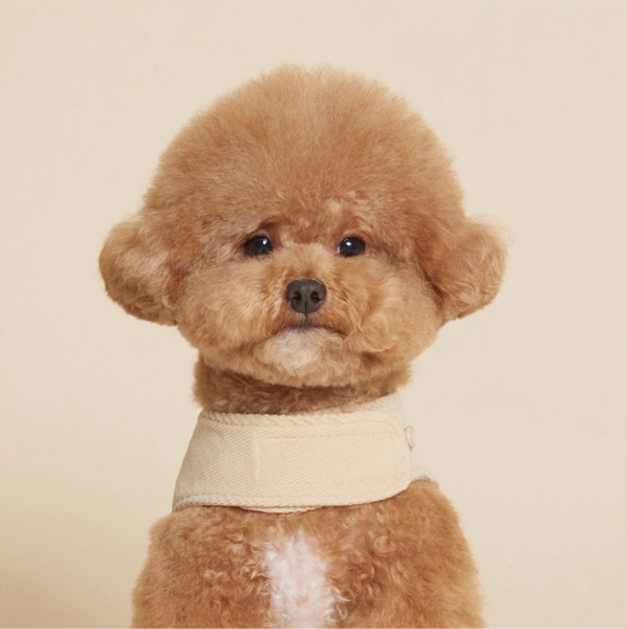 Corduroy Harness