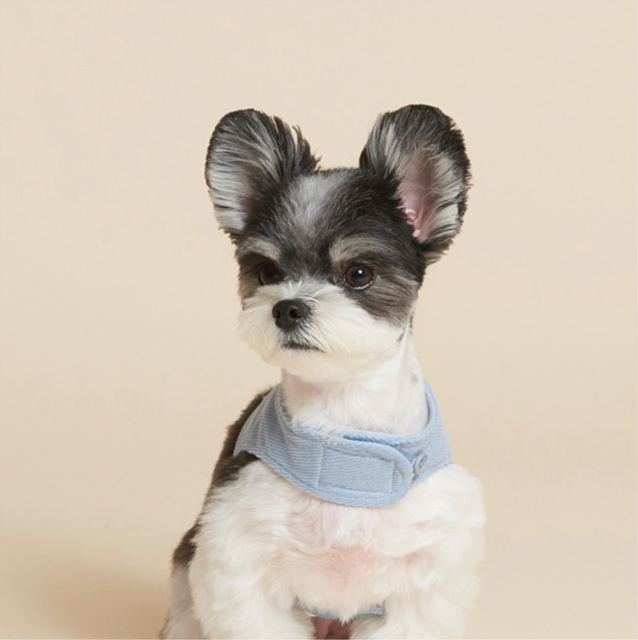 Corduroy Harness