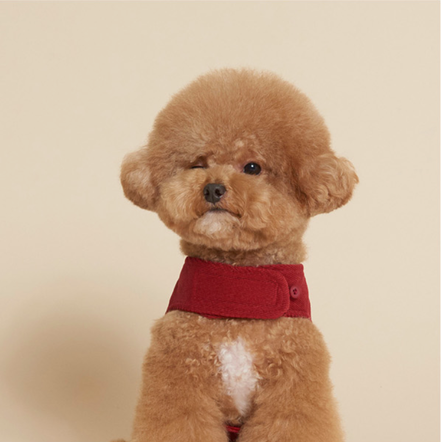 Corduroy Harness