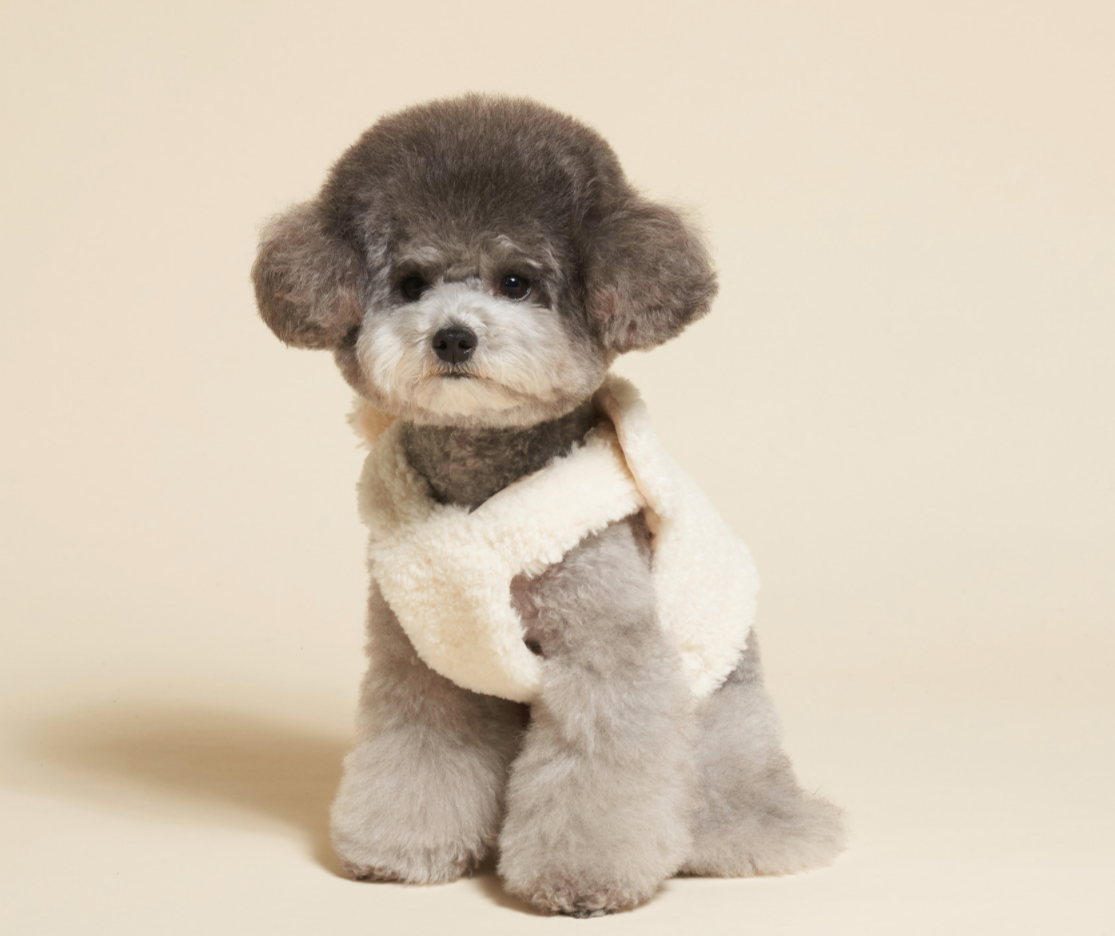 Bear Fleece Vest
