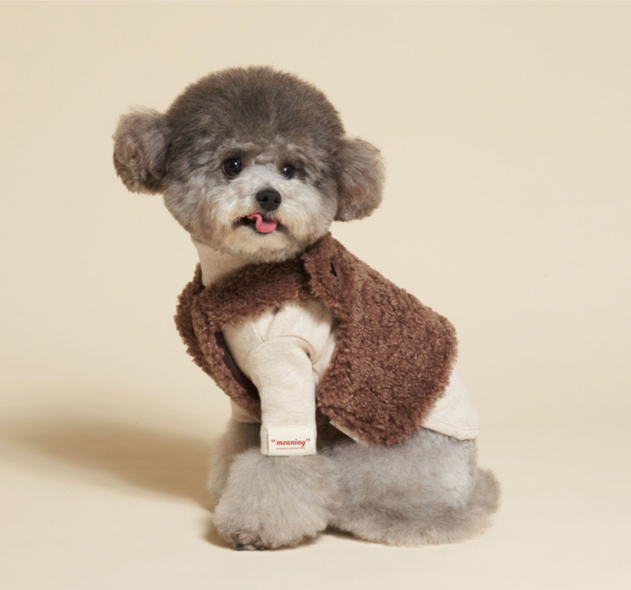 Bear Fleece Vest