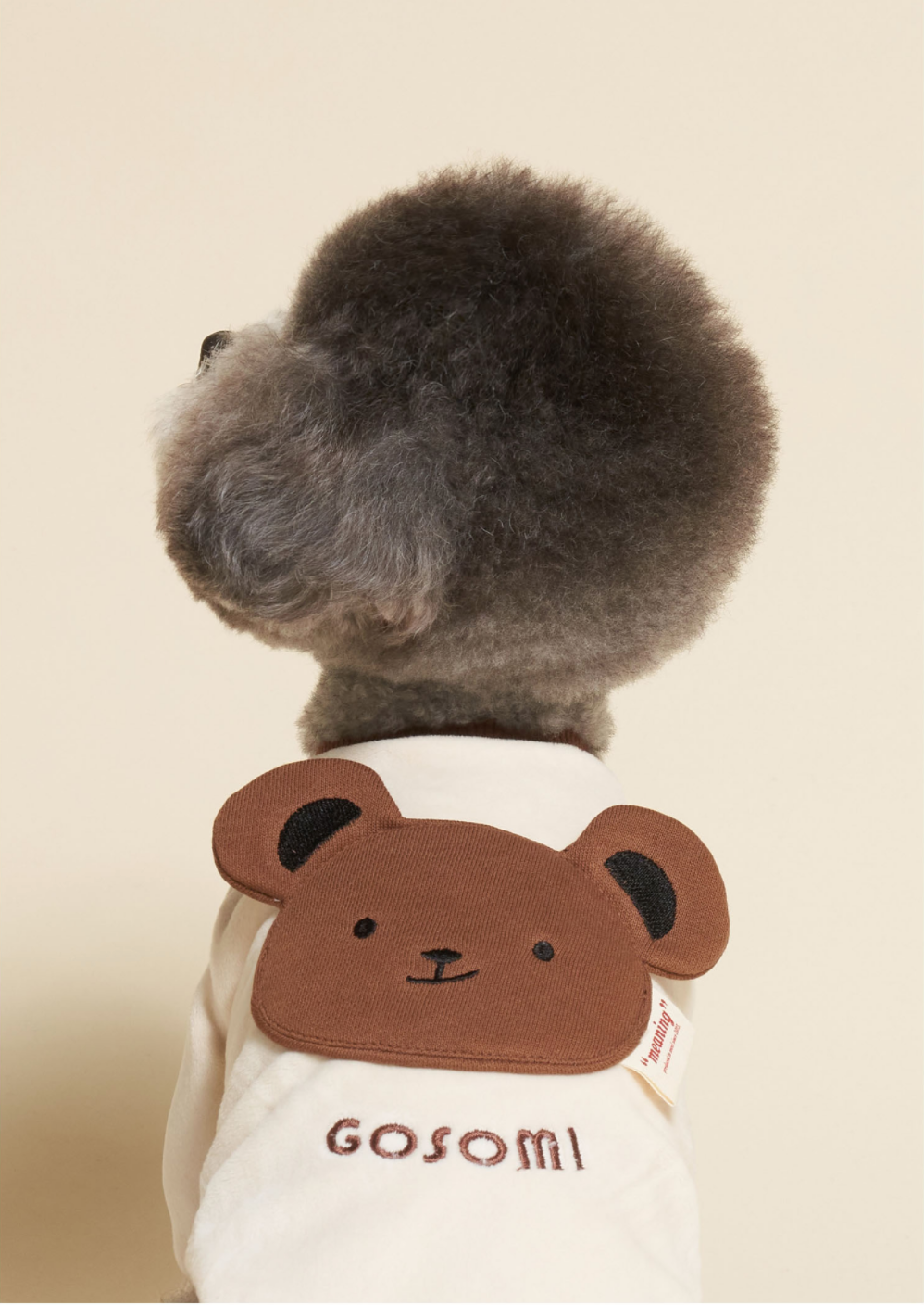 Bear T-shirts