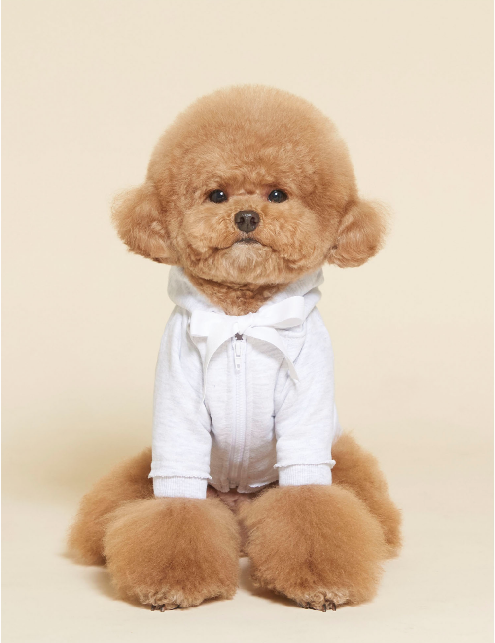 Ribbon Zip Up Hoodie