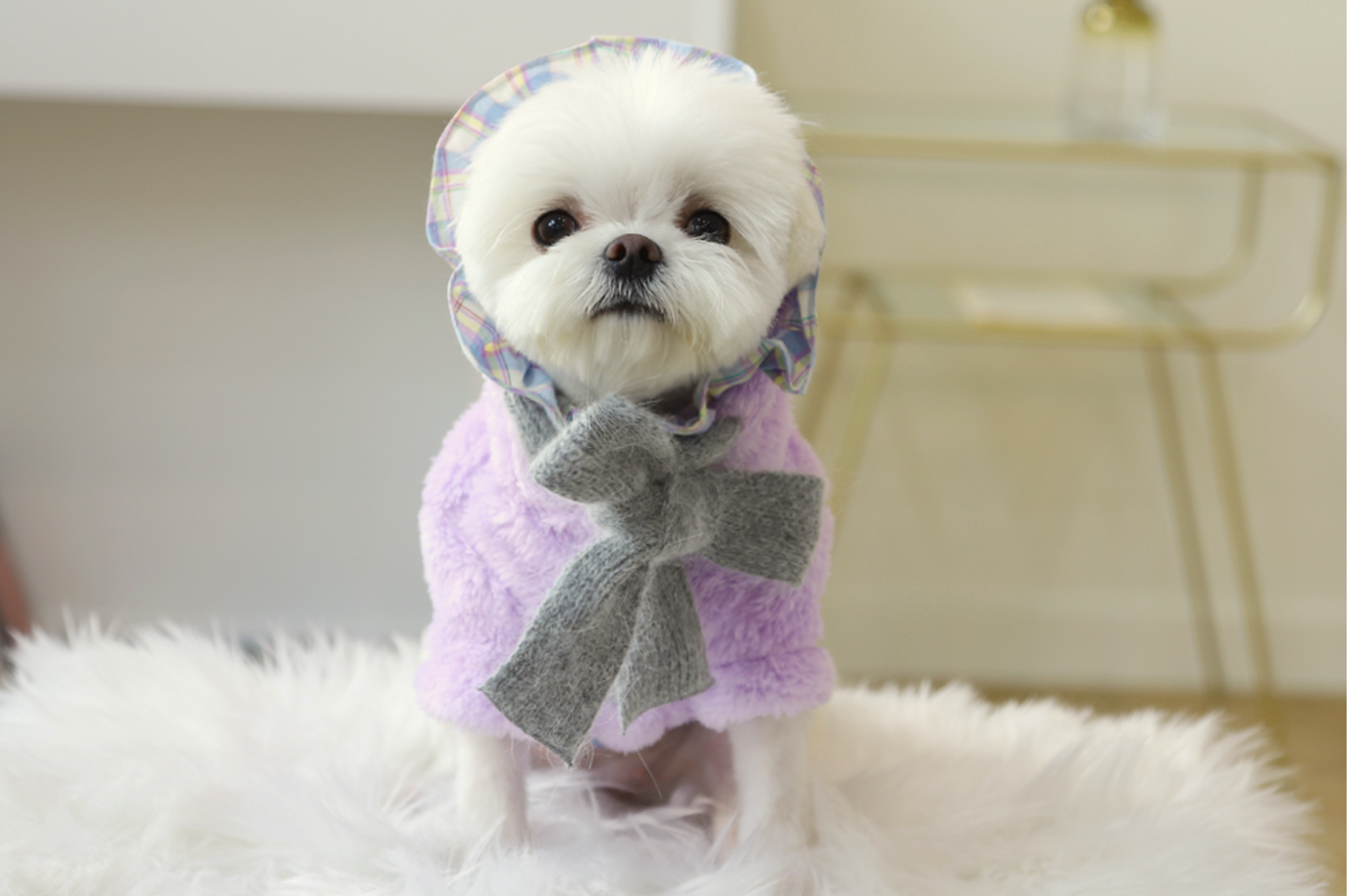 Hood Fleece