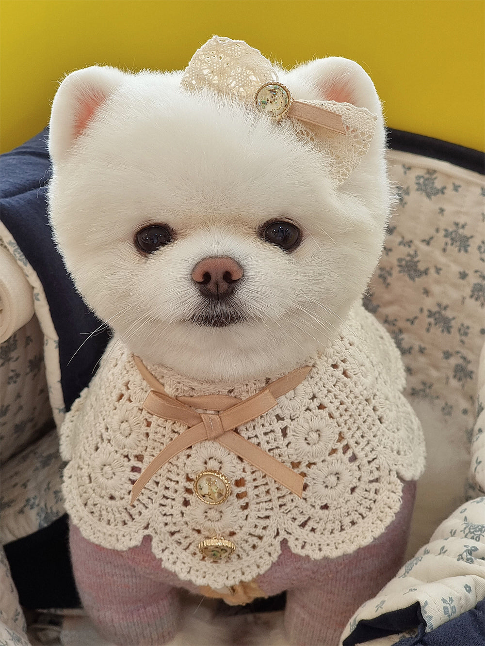 Pearl Bandana