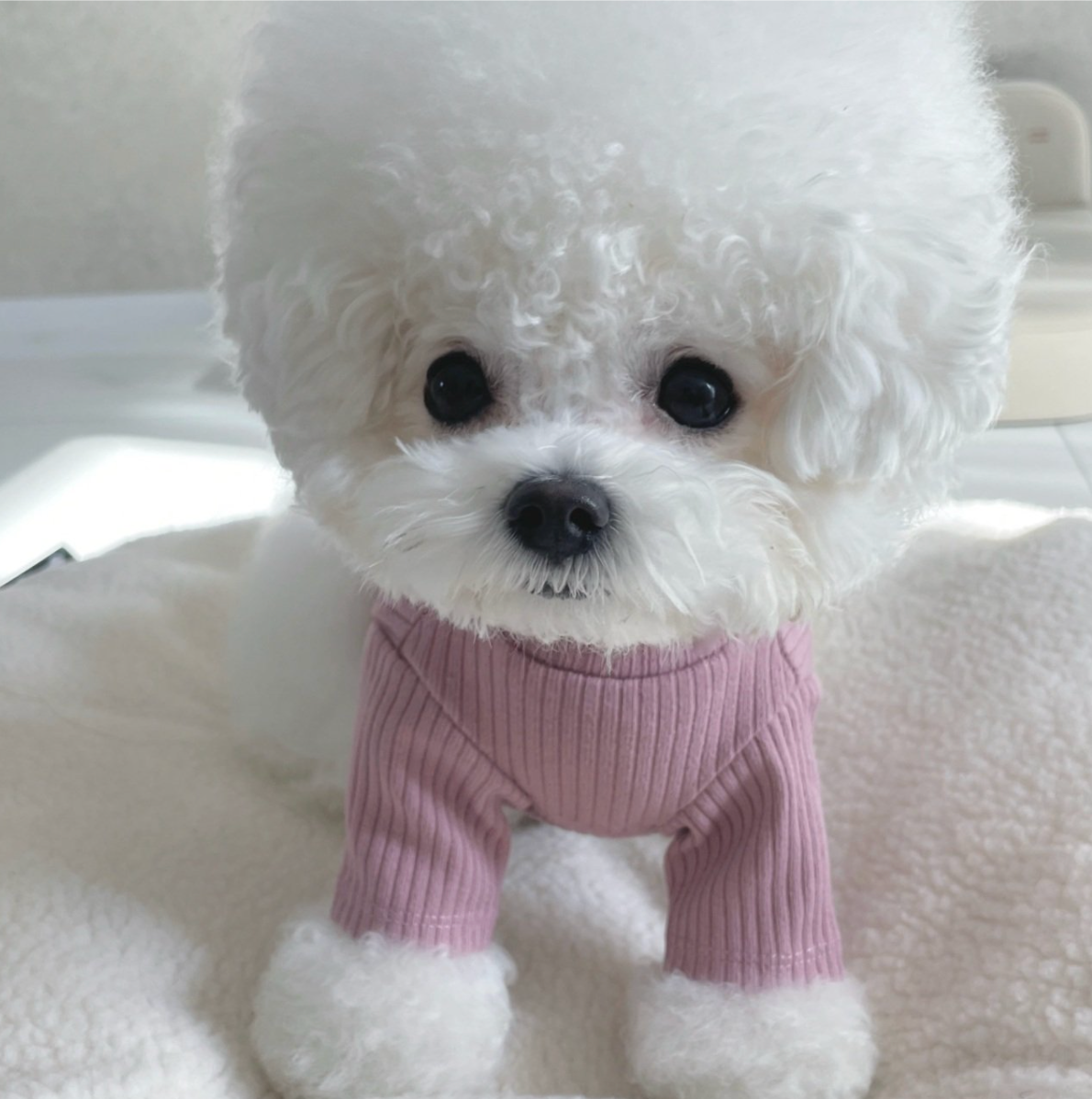 Knit Turtleneck