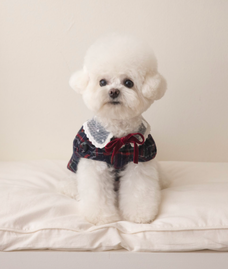 Plaid lace top (Navy)