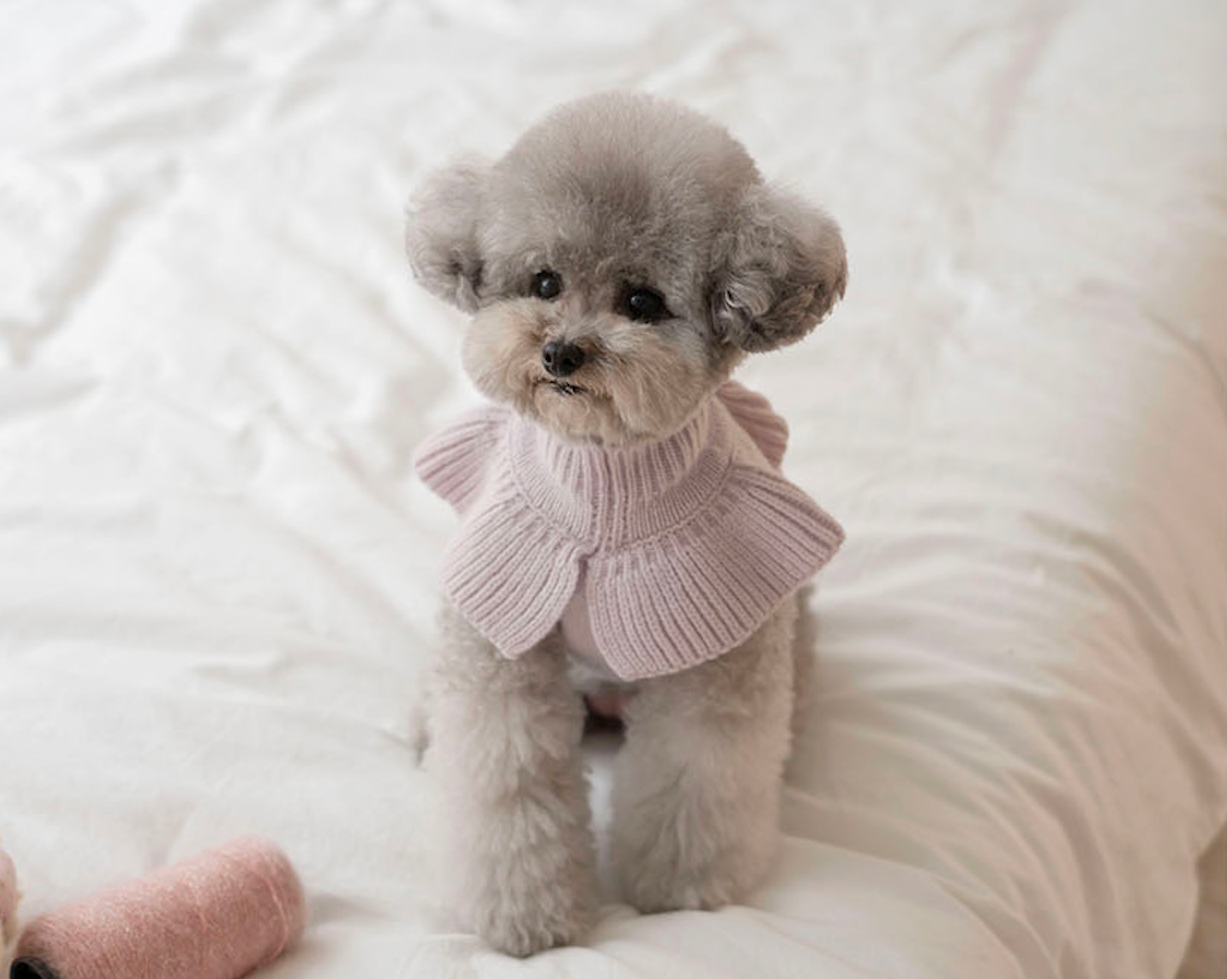 Frill Knit(Lavender)