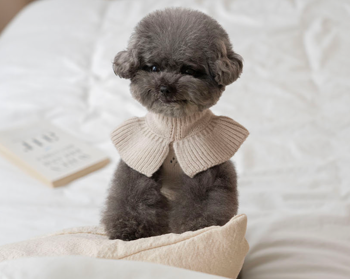 Frill Knit(Brown)