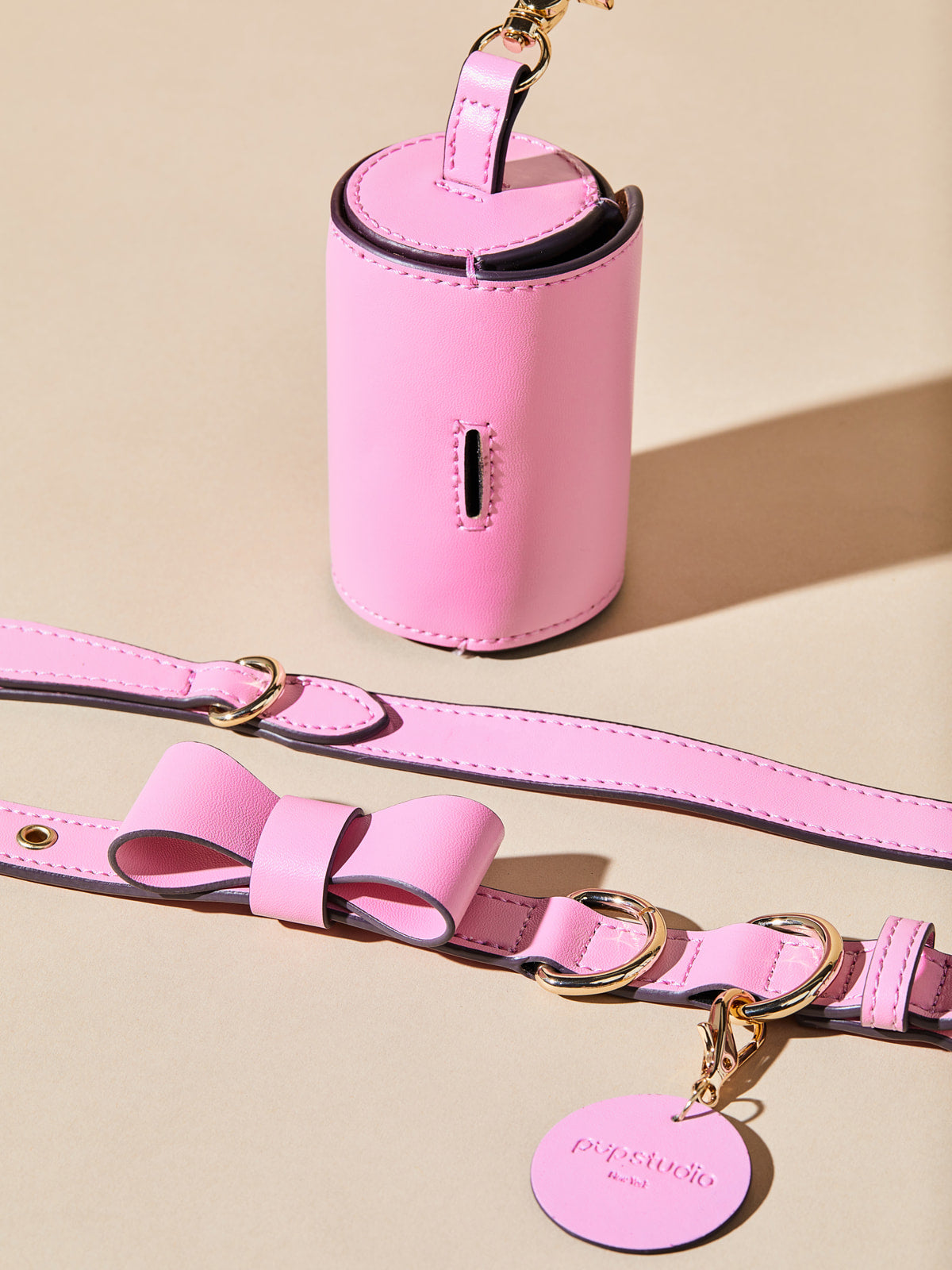 Ribbon Collar w Leash & Waste Bag