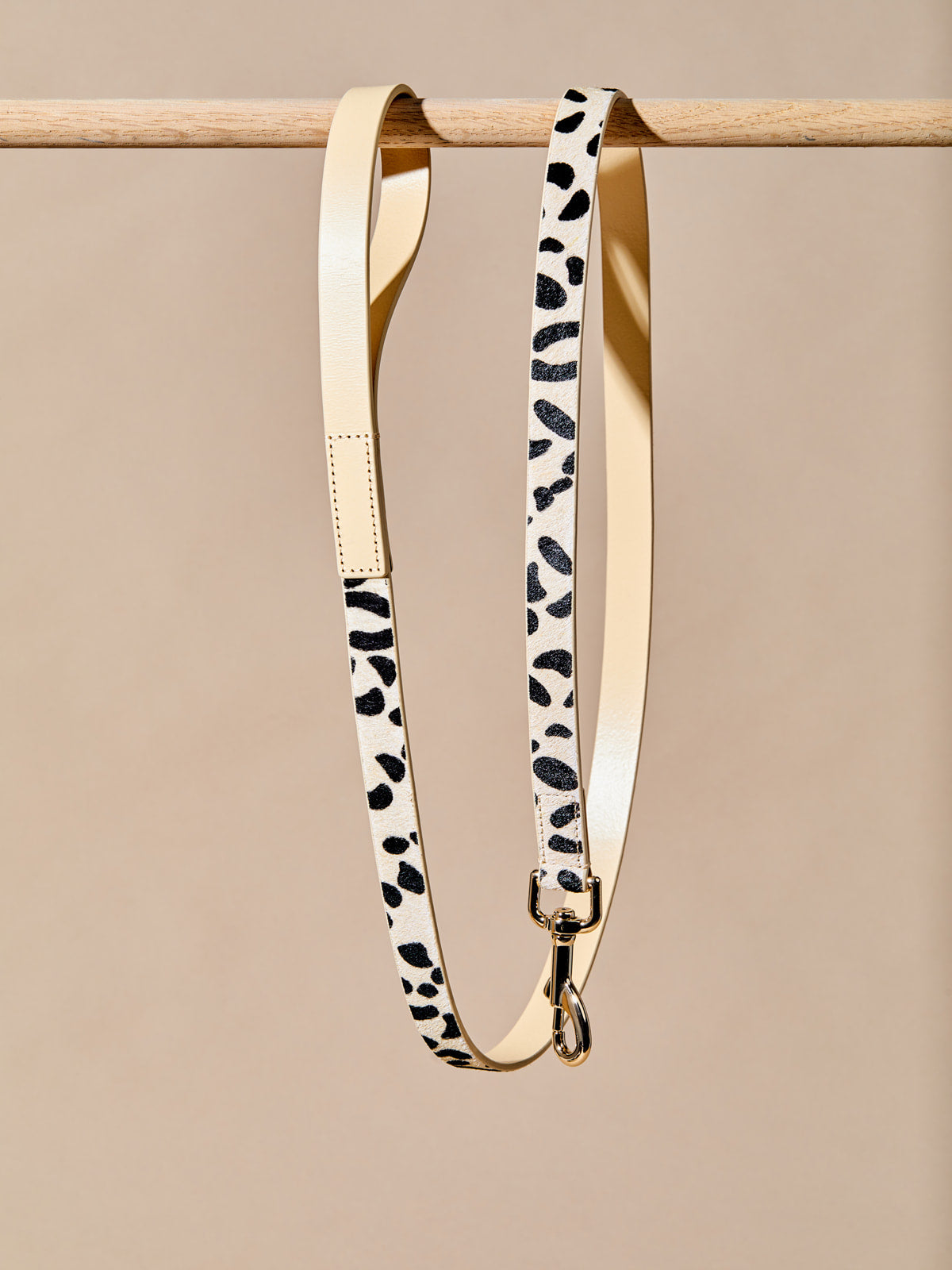 Zebra Collar w Leash