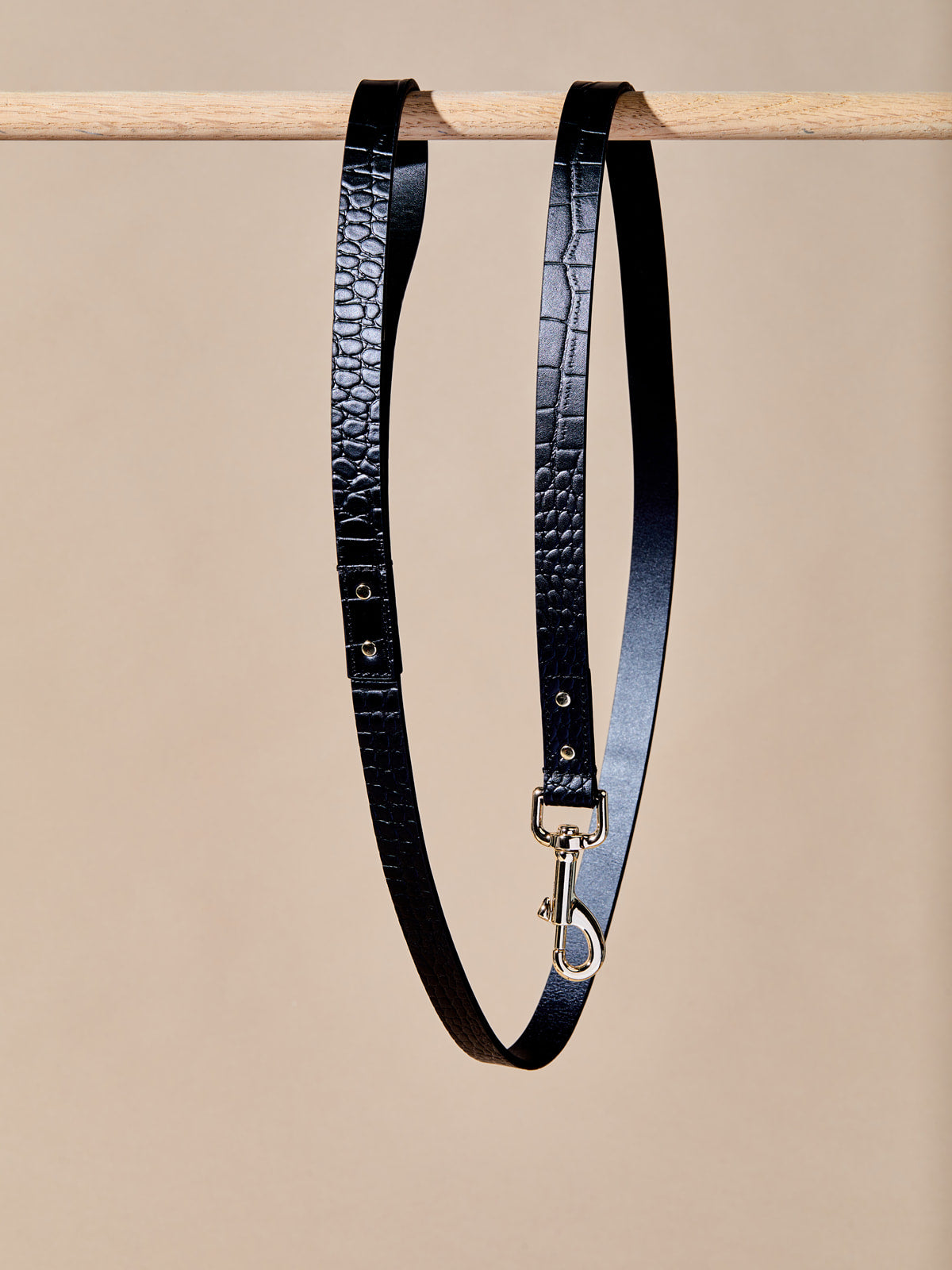 Croc Leather Collar w Leash
