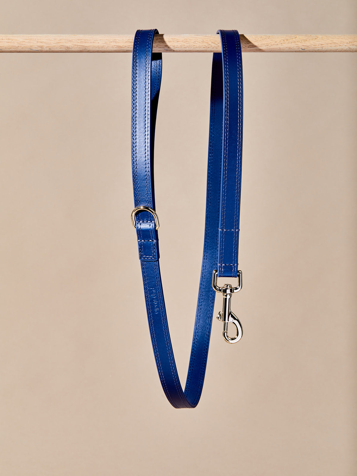 Simple Leather Collar w Leash