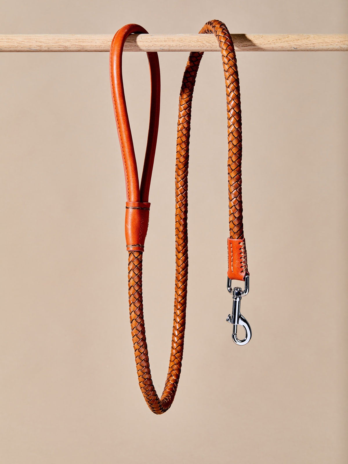 Braided Leather Collar w Leash