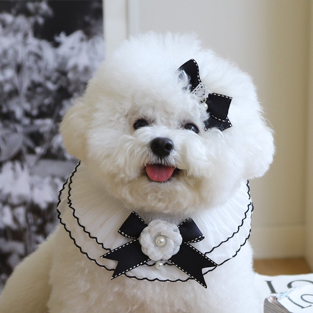 Koko Chiffon Scarf