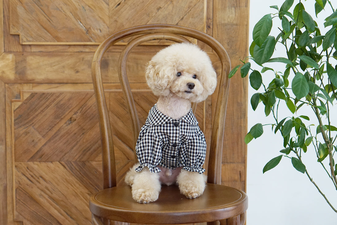 Black Checked Blouse