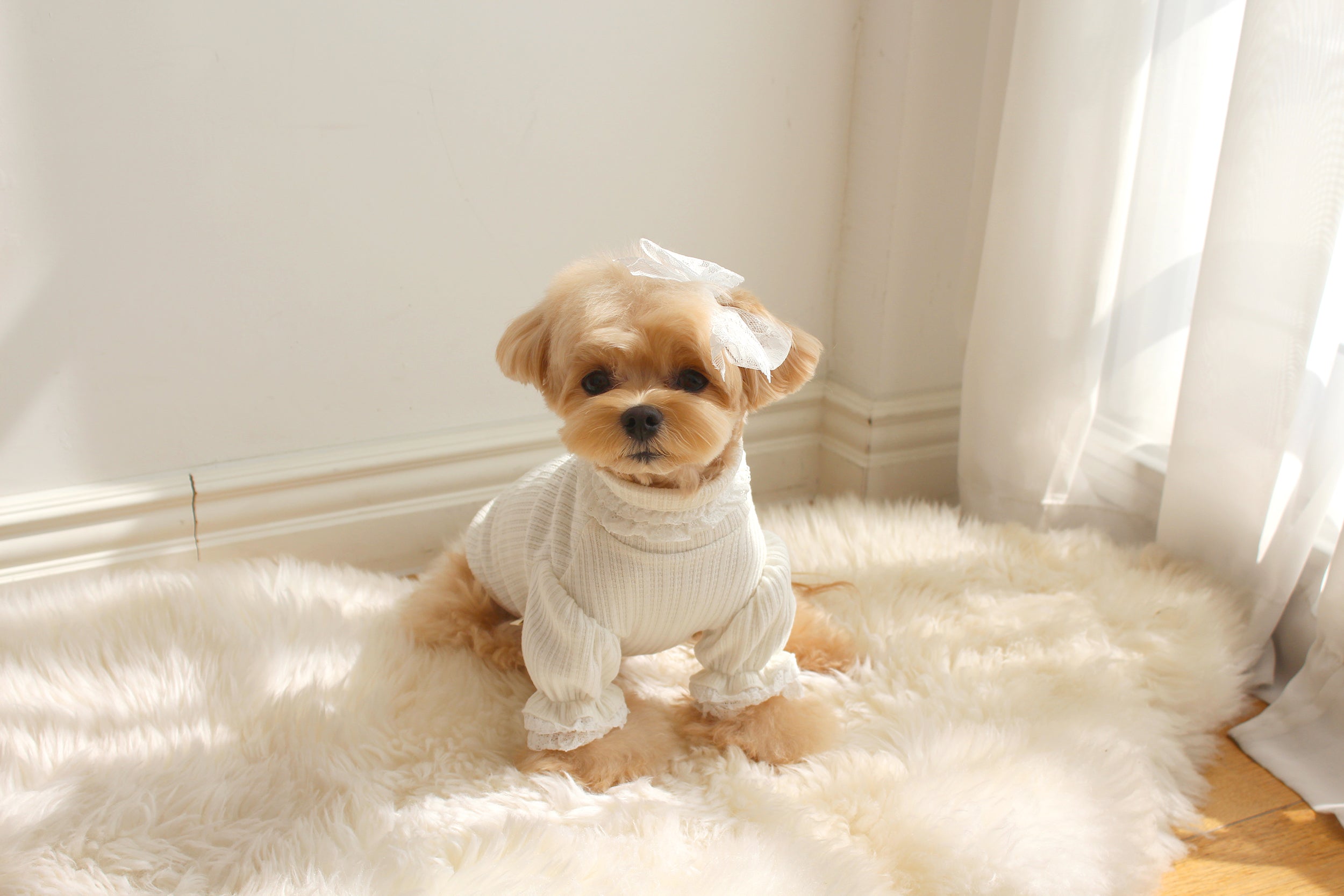 Must Have Turtleneck
