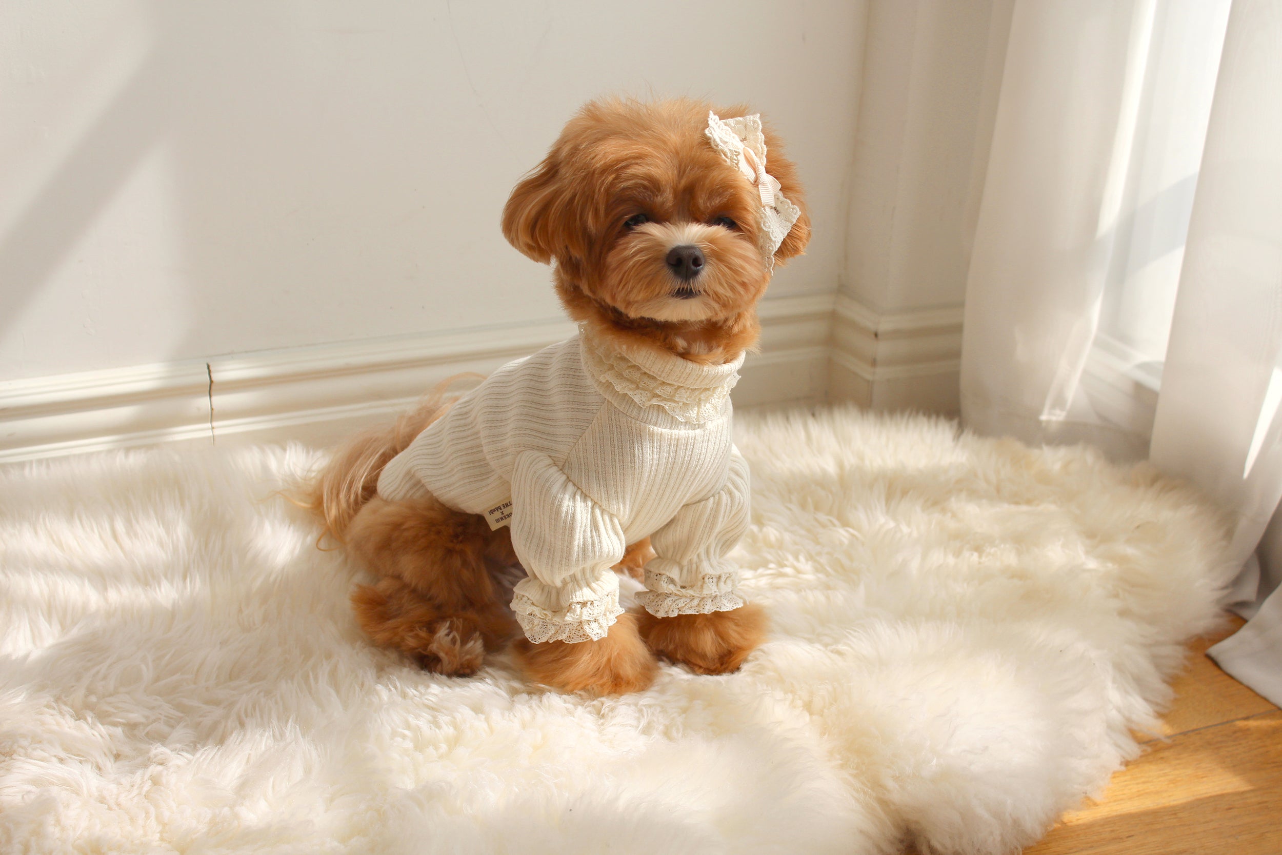 Must Have Turtleneck