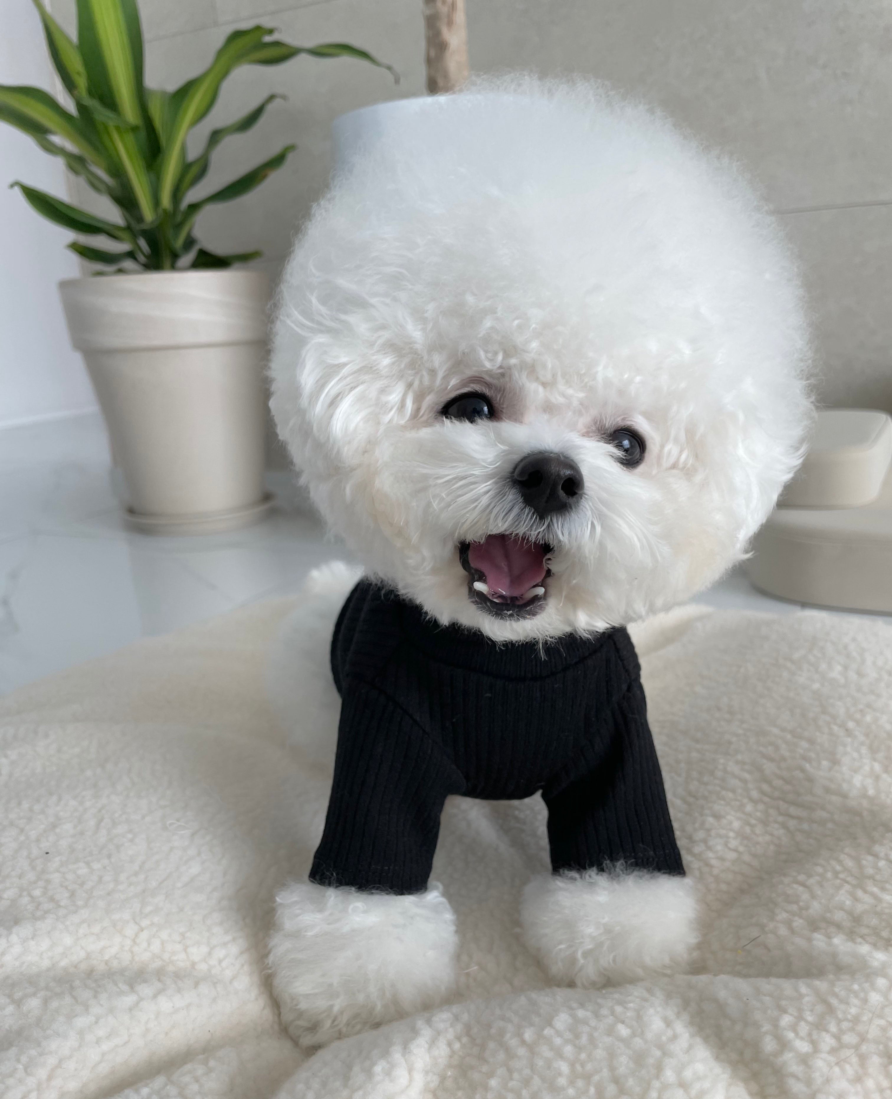 Knit Turtleneck