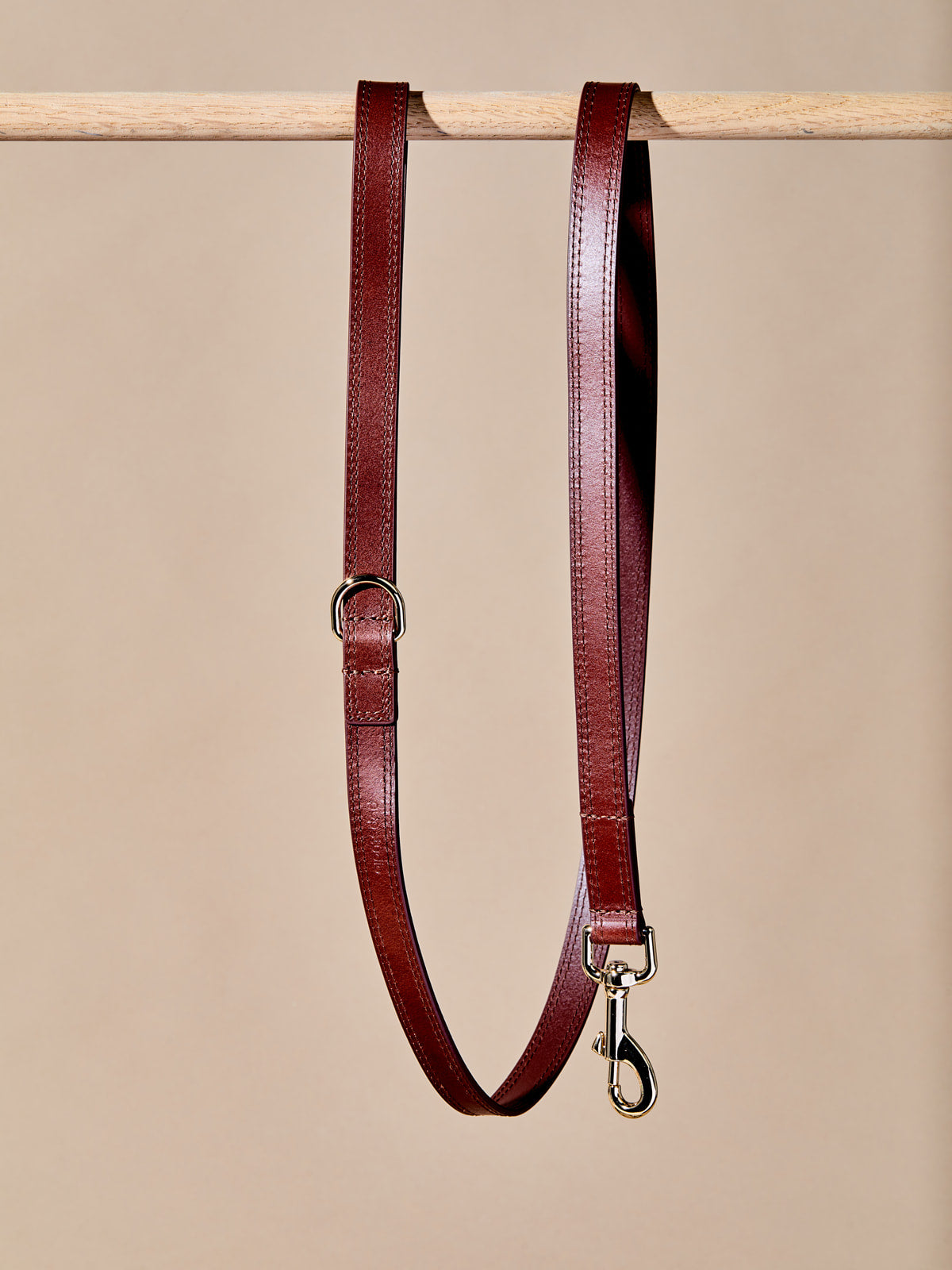 Simple Leather Collar w Leash